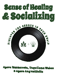Mexico Socializing Sticker by Santa Sabia Media