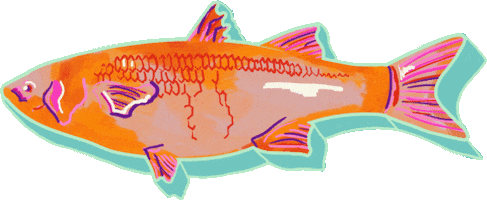 Animated Sticker