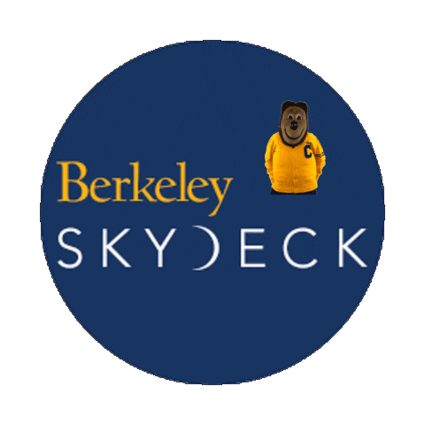 BerkeleySKYDECK giphyattribution cal accelerator skydeck Sticker