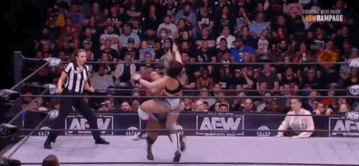 All Elite Wrestling GIF by AEWonTV