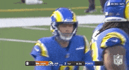 Los Angeles Rams Football GIF by NFL
