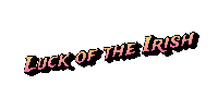 Luck Of The Irish Sticker
