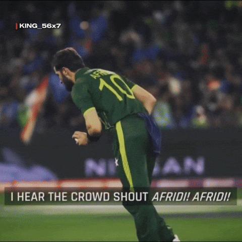 Lahore Qalandars Eagle GIF