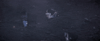 Season 3 Trailer GIF by Paramount+