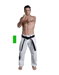 sticker fighter by Karate Combat