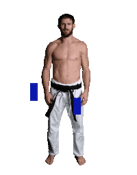 fight mma Sticker by Karate Combat