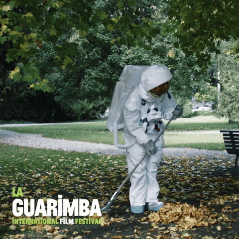 Autumn Survive GIF by La Guarimba Film Festival