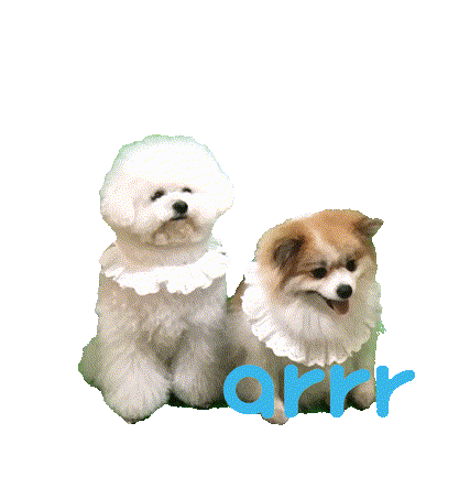 아르르 Sticker by arrr_official