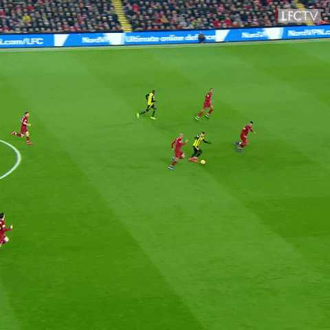 GIF by Liverpool FC