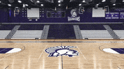 Basketball Warriors GIF by WinonaStateATH
