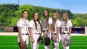 Warriors Softball GIF by WinonaStateATH