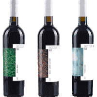 Wine Vino Sticker by rgmx.mx