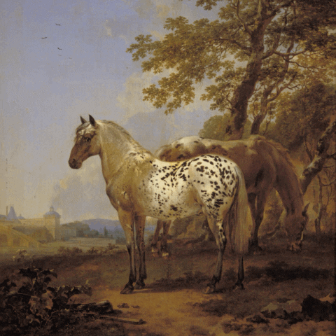 henrietteroued giphyupload artwork horses museum GIF