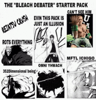 Bleach GIF