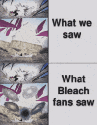 Bleach GIF