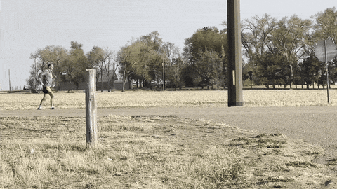 cockledoodledoo giphyupload running will cockerell GIF