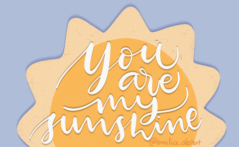 You Are My Sunshine Summer GIF by Emilia Desert