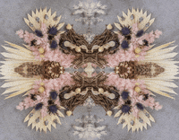 Art 3D GIF