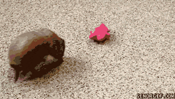 plays armadillo GIF by Cheezburger