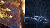 Art Laser GIF by Joanie Lemercier