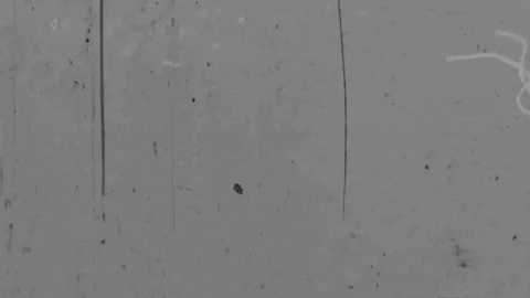 bftappezzerieofficial bftappezzerie GIF