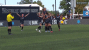 Group Hug Celebration GIF by Chicago Stars FC