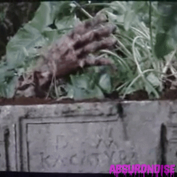 burial ground horror movies GIF by absurdnoise