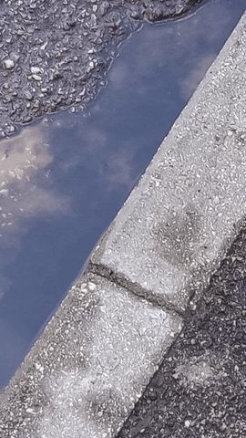 Simongip giphyupload GIF