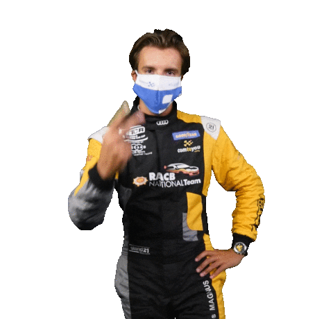 Drive Auto Sticker by FIA World Touring Car Cup