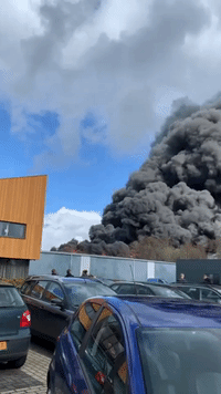 Highway Closed as 'Very Large' Fire Threatens Business Park in Northeastern Netherlands