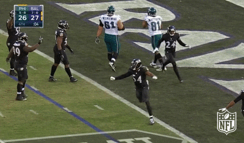 Baltimore Ravens Football GIF by NFL