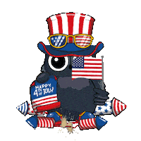 Independence Day Celebration Sticker by BigBrains