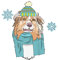 Winter Sticker
