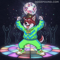 Excited Lets Go GIF by Doge Pound