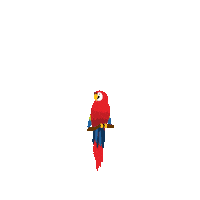 Bird Macaw Sticker by Mandai Wildlife Reserve