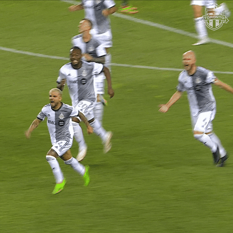 Bmo Field Football GIF by Toronto FC