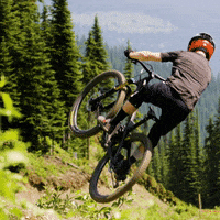 GIF by Pinkbike