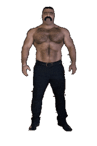 Gay Bear Sticker by Database數據