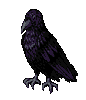 Edgar Allen Poe Bird Sticker