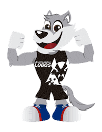 Lobosapostolica lobos lobito somoslobos lobosapostolica Sticker
