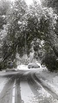 Snow Descends on San Diego County as Winter Storm Continues to Impact California