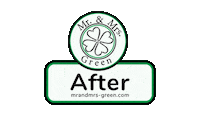 Sticker by Mr. and Mrs. Green