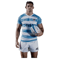Argentina Rugby Sticker by icbc