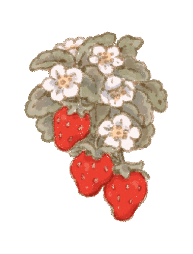 Zoom Strawberry Sticker