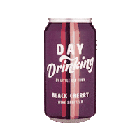 Summer Drinking Sticker by Little Big Town