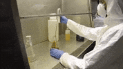 agrinovusin agrinovus GIF