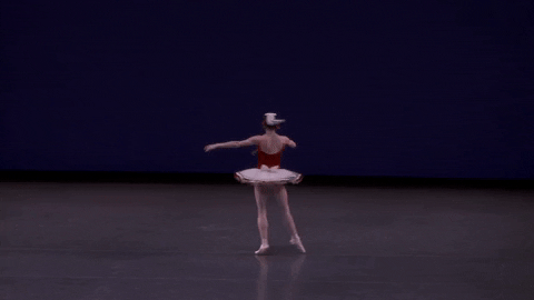 megan fairchild ballerina GIF by New York City Ballet
