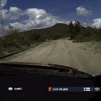Safari Rally Omg GIF by FIA World Rally Championship