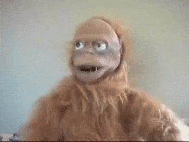 Meme gif. Strange looking, broken monkey toy has its mouth open like it was going to say something, but then stops, closing its mouth. Its mouth moves like it's thinking. We then get very close to it and it turns its face towards us, but it can’t look at us because its eyes are wrong.