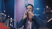 Mtv Unplugged Vivo GIF by Fobia